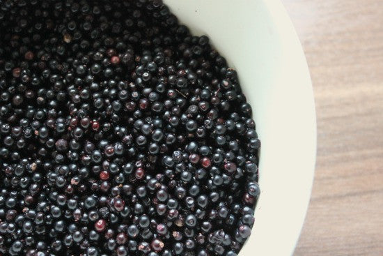 Elderberry Syrup - The Flu Fighter