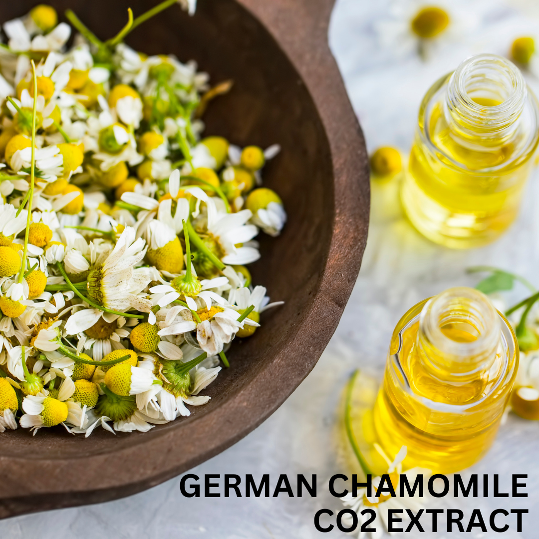 Chamomile (German) CO2 Extract - 5ml