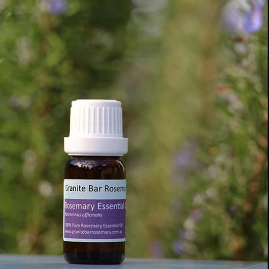 Rosemary ct. verbenone Essential Oil - 10ml
