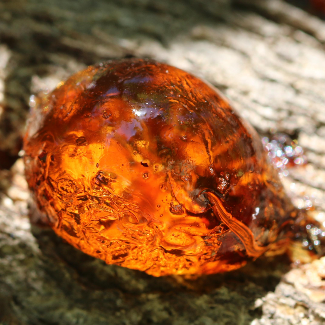 Amber Oil - 5ml