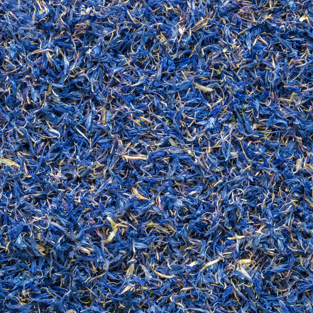 Blue Cornflower Petals